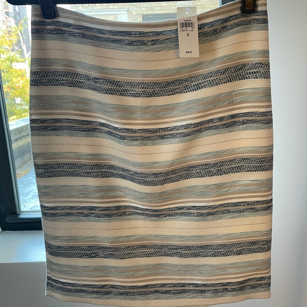 NWT Ann Taylor Skirt